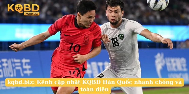 waltervanos.nl: Kênh cập nhật KQBD Hàn Quốc nhanh chóng và toàn diện